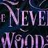 Lost In The Never Woods Audiobook By Aiden Thomas