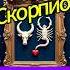 Телец и Скорпион совместимость знаков зодиака