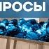 На связи с Волковым Только неудобные вопросы