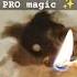 Какая новость на пороге Гадание на воске Margo PRO Magic