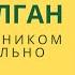 Б Тулган Быть начальником это нормально отличное пошаговое руководство по эффективному менеджменту