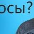 ВОЛОСЫ К чему снятся волосы