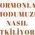 Nedir Bu Hormonlardan Çektiğimiz Hormonlar Ve Psikoloji