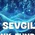 Semicenk Funda Arar Al Sevgilim Reverb Lyrics