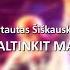 Vytautas Šiškauskas Nekaltinkit Manęs KARAOKE