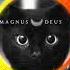 Magnus Deus Ghost In The Shell Chaos Of Doom Festival Edit