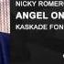 Kaskade Vs Nicky Romero Angel On My Stronger Nicky Romero Mix Kaskade FON Mash