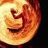 Pixel Pig Di Young No Copyright Music