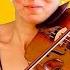 14 Different Types Of Vibrato On The Violin And Viola