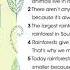 Smiles 4 Module 6 P93 Ex28 Did You Know Rainforests Facts