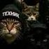 Уличные коты с района коты кошки нейросеть