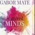 Why Dr Gabor Mate Is Worse Than Wrong About ADHD