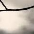 Unsigned And New Dark Ambient Part III 1 Hour Mix