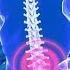 Back Pain Healing Frequency STRONGEST DOSE Binaural Beat Plus Isochronic