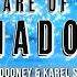 Dale B Dooney Karel Sanders Beware Of The Shadow Radio Mix Video Edit