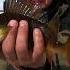ВЕСЕННЯЯ РЫБАЛКА ЗА ПОЛЯРНЫМ КРУГОМ SPRING FISHING IN THE ARCTIC CIRCLE