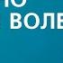 Как жить согласно Божьей воле Часть 1 Бейлесс Конли