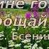 С Есенин Цветы мне говорят прощай стихиолюбви русскаялирика поэтысеребряноговека