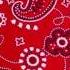 The Red Bandanas Average Joe Remix