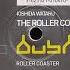 Kishida Wataru Roller Coaster 1997