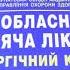 На виїзді з Мукачева мікроавтобус з дітьми зіткнувся з вантажним постраждала дівчинка