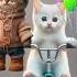 Super Cat Video Catvideo Funnycat Catvideosforyou Catdance Catcryingsound