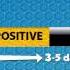 How Long Does Meth Stay In Your System