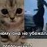 бригада на таких машинах увозят на органы