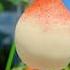 Make The Viral Japanese Peach Ice Cream At Home