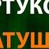 Татьяна Куртукова Матушка земля Текст Lyrics