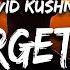 1 HOUR David Kushner Mr Forgettable Lyrics Hello Hello Are You Lonely