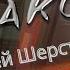 Человек и Закон Алексей Шерстобитов Наемный убийца Лёха Солдат