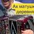 Ах матушка деревня дмитрийгармонист гармонь гармонист Shorts
