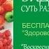 Виды питания Суть раздельного питания Выборка из вебинара суть раздельного питания