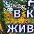 Оскаленко А Н Дом в котором живёт душа