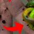 Making NEON GREEN GLOW WORMS Best Fishing Bait