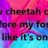 Red Hot Chili Peppers Slow Cheetah Lyrics