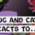 Ladybug And Cat Noir Reacts To Miraculous Ladybug Gacha Club