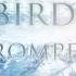 BIRD FLOW ROMPIENDO EL FRIO Prod By Fleiva Records