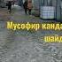 Мусофир мардикор мас
