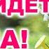 ОЧЕНЬ МУДРО СКАЗАНО С ДОБРЫМ УТРОМ ДОБРОЕ УТРЕЧКО ХОРОШЕГО ДНЯ Стих Материнский наказ
