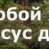 Как с Тобой хорошо мой Иисус дорогой I Болеева Мария