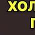 Аудиокнига Холодная гора Читает Ирина Воробьева Роман