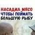 Насадил мясо чтобы поймать большую рыбу