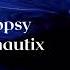 Whoopsy Audionautix Music Daily
