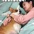 The Fun Of Raising Dogs Creator Center My Dowry Puppy Accompany DogI Don T Feel Like It S A Dog
