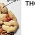 HEADWAY 5TH EDITION PRE INTERMEDTIATE UNIT 4 FOOD FOR THOUGHT STUDENT S BOOK LISTING
