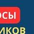 ОТВЕТЫ НА ВОПРОСЫ ПОДПИСЧИКОВ YOUTUBE КАНАЛА