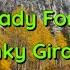 Are You Ready For Me Baby By Funky Giraffe Song With Lyrics