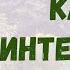 Необычный магазин в Австрии Чисто австрийские товары